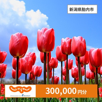【じゃらんふるさと納税クーポン】 新潟県胎内市でつかえる300,000円 クーポン