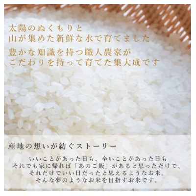 【令和8年産先行受付】新潟県産コシヒカリ2kg