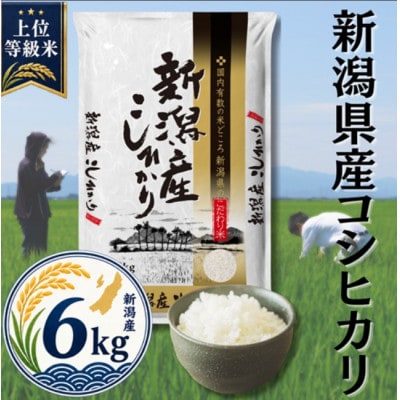 【令和8年産先行受付】新潟県産コシヒカリ6kg(2kg×3袋)