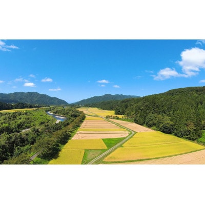 【令和8年産先行受付】新潟県産コシヒカリ6kg(2kg×3袋)