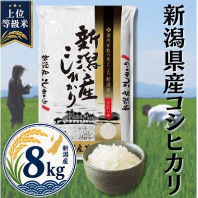 【令和8年産先行受付】新潟県産コシヒカリ8kg(2kg×4袋)