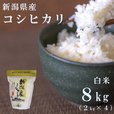 【令和8年産先行受付】新潟県産コシヒカリ8kg(2kg×4袋)
