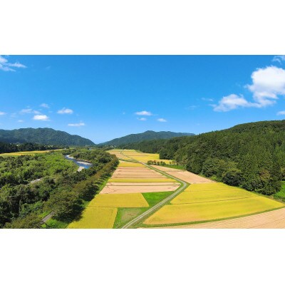 【令和8年産先行受付】新潟県産コシヒカリ8kg(2kg×4袋)
