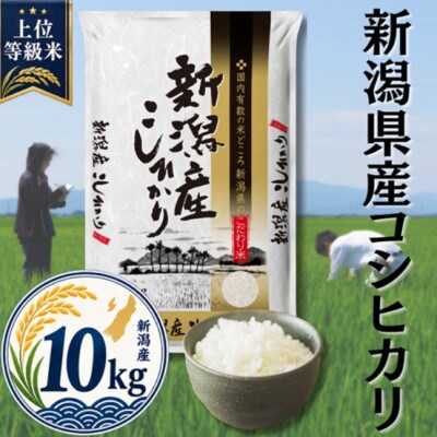 【令和8年産先行受付】新潟県産コシヒカリ10kg(5kg×2袋)