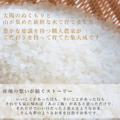 【令和8年産先行受付】新潟県産コシヒカリ10kg(5kg×2袋)
