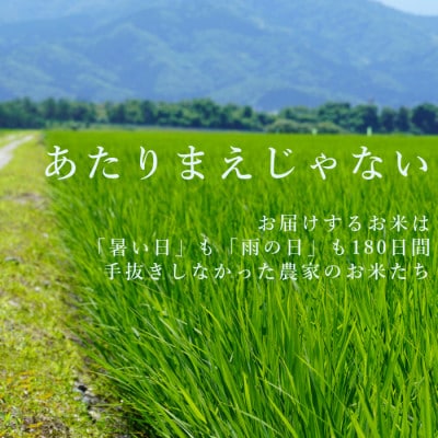 【令和8年産先行受付】新潟県産コシヒカリ10kg(5kg×2袋)