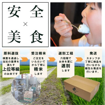 【令和8年産先行受付】新潟県産コシヒカリ10kg(5kg×2袋)