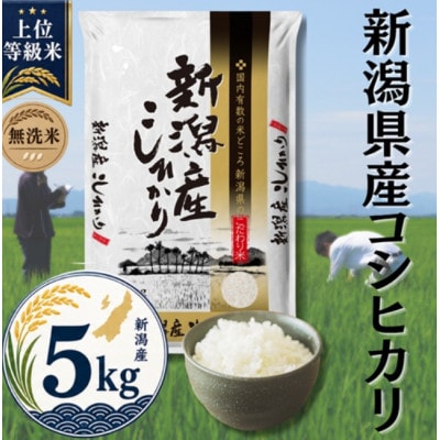 【令和8年産先行受付】【無洗米】新潟県産コシヒカリ5kg