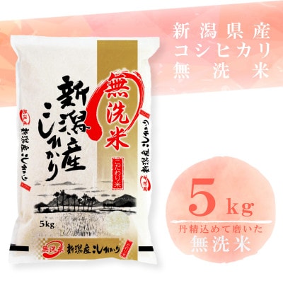 【令和8年産先行受付】【無洗米】新潟県産コシヒカリ5kg