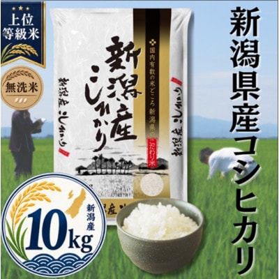 【令和8年産先行受付】【無洗米】新潟県産コシヒカリ10kg(5kg×2袋)