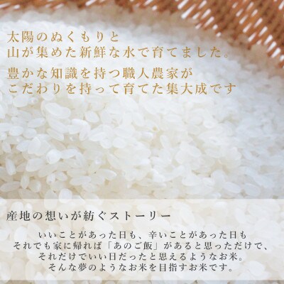 【令和8年産先行受付】【無洗米】新潟県産コシヒカリ10kg(5kg×2袋)