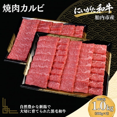 【にいがた和牛】焼肉カルビ 1.0kg(500g×2) 胎内市産 黒毛和牛 バーベキュー