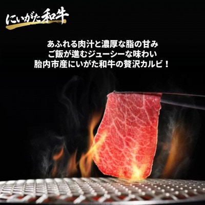 【にいがた和牛】焼肉カルビ 1.0kg(500g×2) 胎内市産 黒毛和牛 バーベキュー