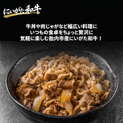 【にいがた和牛】切り落とし 500g×1 胎内市産 黒毛和牛