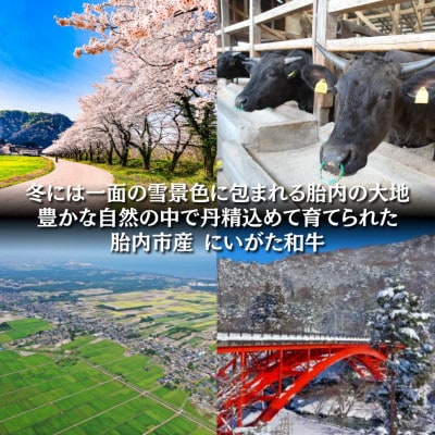 【にいがた和牛】切り落とし 500g×1 胎内市産 黒毛和牛