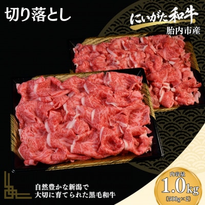 【にいがた和牛】切り落とし 1.0kg(500g×2) 胎内市産 黒毛和牛