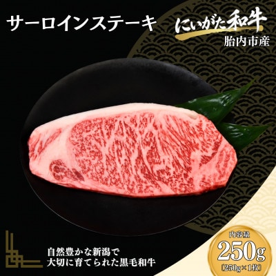 【にいがた和牛】サーロインステーキ 250g×1 胎内市産 黒毛和牛