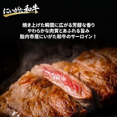 【にいがた和牛】サーロインステーキ 500g(250g×2) 胎内市産 黒毛和牛