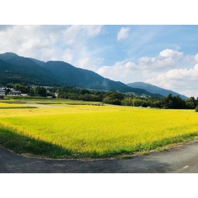 風の森　ALPHA2　「この上なき華」