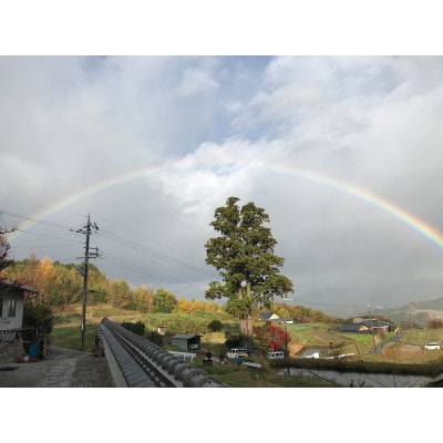 【宿泊券】「Cafe,民泊  母屋森本」1泊2日1組限定、夕食・朝食付き、お土産(農産物)3名様券