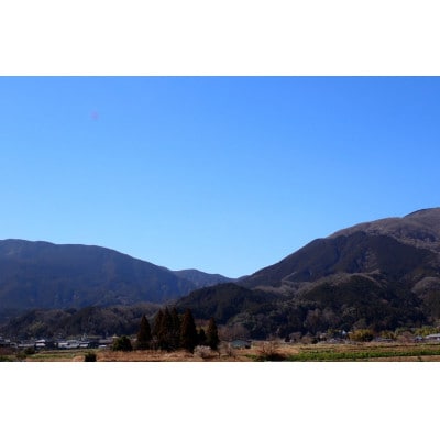百楽門　純米大吟醸&菩提もと(ぼだいもと)純米 呑比べセット
