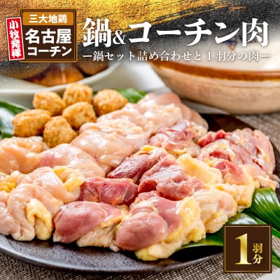 名古屋コーチン鍋セット&追い肉 名古屋コーチン1羽分(700g)セット[001T01]