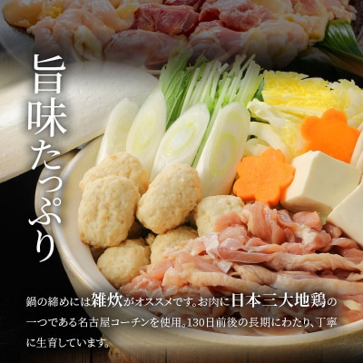 名古屋コーチン鍋セット&追い肉 名古屋コーチン1羽分(700g)セット[001T01]