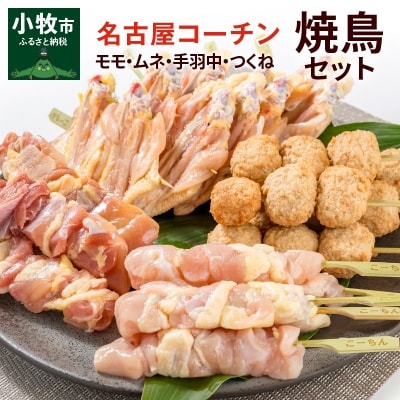 名古屋コーチン焼き鳥セット(モモ・ムネ・手羽中・つくね)(20本入り)[001T02] | ふるさと納税のお礼品