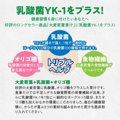 【乳酸菌プラス】山本漢方の大麦若葉粉末(60スティック入り)[027Y05]