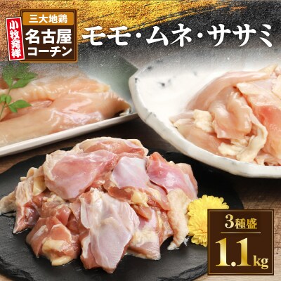モモ ムネ ササミ 名古屋コーチン3種盛<1.1kg>大満足セット[001T03]