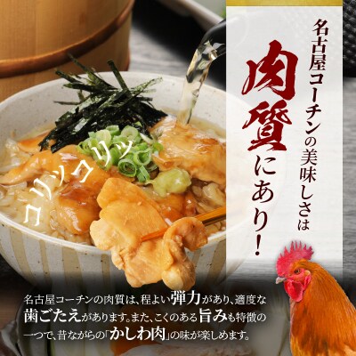 モモ ムネ ササミ 名古屋コーチン3種盛<1.1kg>大満足セット[001T03]
