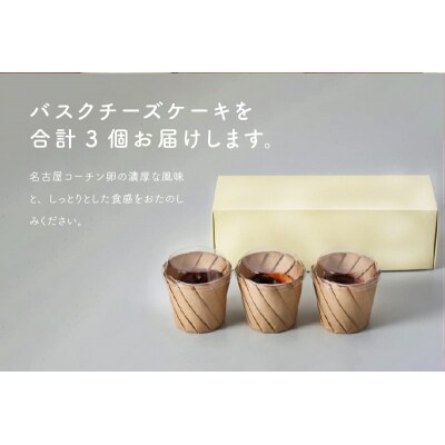 名古屋コーチン卵のバスクチーズケーキ[020N04]
