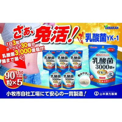 山本漢方の乳酸菌粒(30日分×5袋)[027Y07]