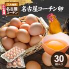名古屋コーチン卵(30個入り)[006K01]