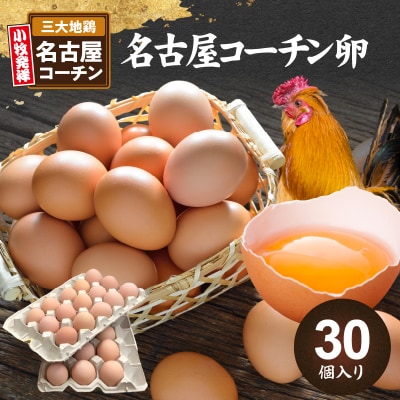名古屋コーチン卵(30個入り)[006K01]