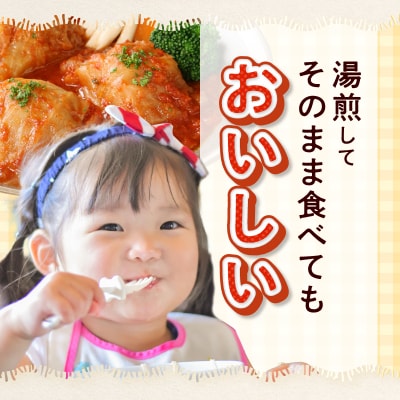 国産キャベツと豚肉のロールキャベツ トマトソース煮込み(2個×6P)合計12個 常温[022J03]