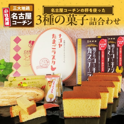 【2026年8月末終了】長崎堂コーチン菓子詰合わせ[008N01]