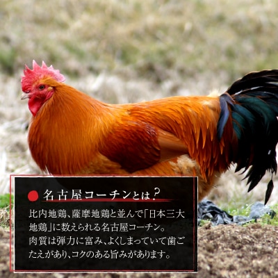 名古屋コーチン親子丼の素6食セット[004O02]