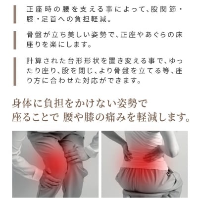 正座・あぐら用クッション「腰座」(サイズ03レギュラー×ネイビー)　カバー洗い可[023M05-2]