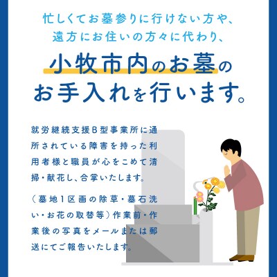 お墓のお掃除代行サービス(清掃・献花・合掌)[044B01]