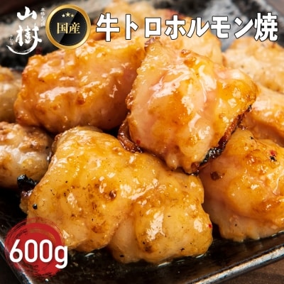 山樹の国産牛とろホルモン焼き(味付/タレ)　600g[047R17] | ふるさと納税のお礼品