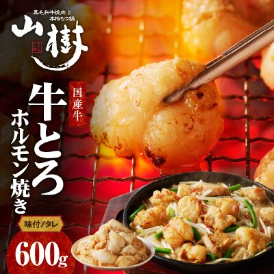 山樹の国産牛とろホルモン焼き(味付/タレ)　600g[047R17]