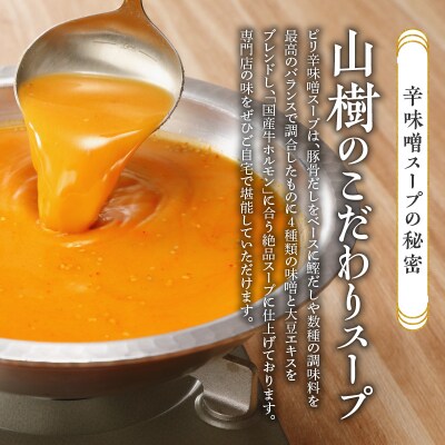 山樹のピリ辛味噌もつ鍋　1～2人前セット[047R04]