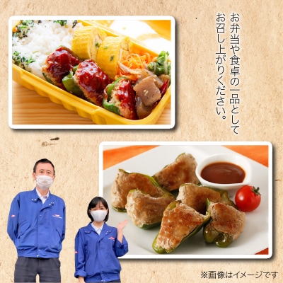 国産豚で作ったピーマンの肉詰め(10袋セット)　お弁当やおかずにも!　手軽　おいしい[022J05]