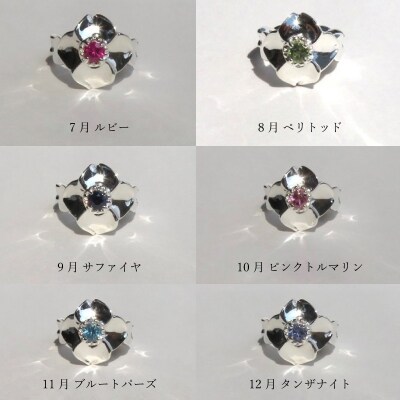 桜とハナミズキのベビーリング 6月 ロイヤルブルームーンストーン [016K16-03]