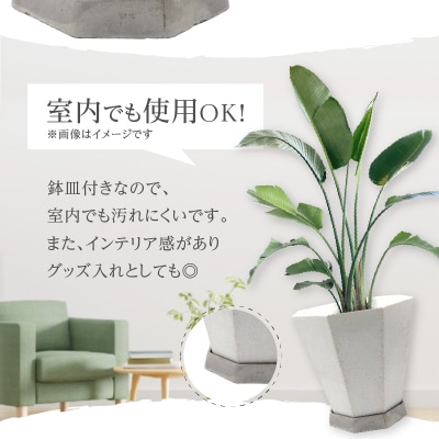 大理石風(白色)八角形植木鉢(モルタル製)[060S03]