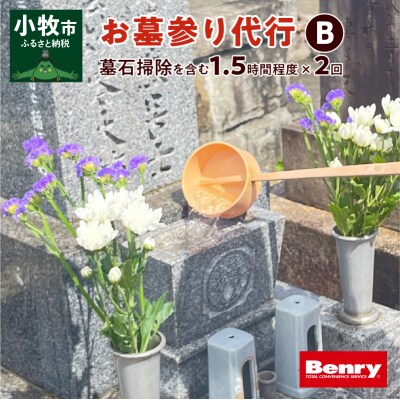 お墓参り代行B(墓石掃除を含む1.5時間程度×2回)[067S02]