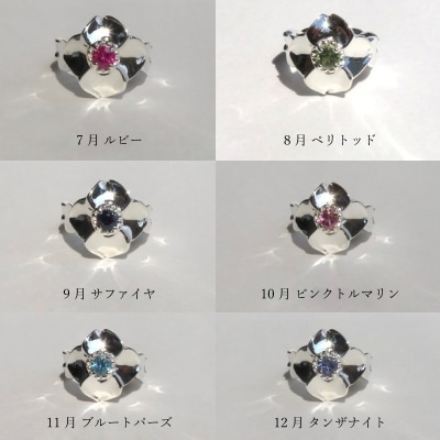 SV 桜とハナミズキのベビーリング【ネックレス付】40cm(10月)[016K17-05]