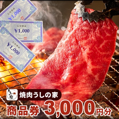 焼肉うしの家 小牧店限定 金券3,000円分(1,000円×3枚)[078R01]