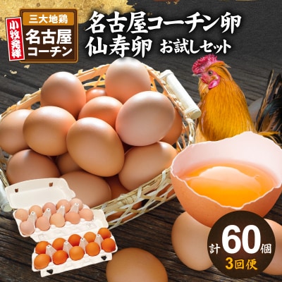 【3回便】名古屋コーチン卵・仙寿卵お試しセット 各10個入り×3回 [006K02-T]